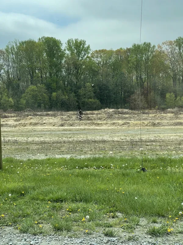 Sandtown Landfill - photo 4