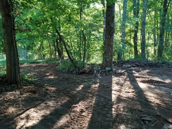 Billy D's Hauling & Junk Removal - photo 4