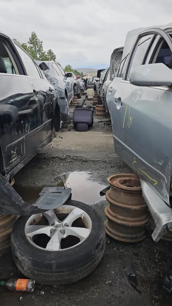 Dave´s Auto Parts Wrecking San Diego - photo 2