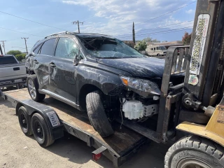 skunk's auto &truck parts