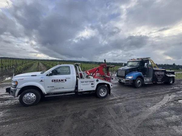 Cream's Towing - photo 4