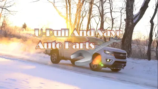 U-Pull And Save Auto Parts - photo 2