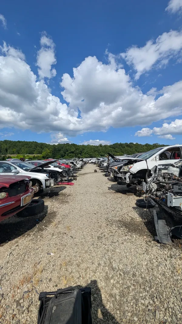 Pull-A-Part - photo 4