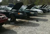 Cash-N-Carry Pull Your Part