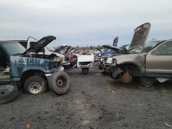 Pull & Save Auto Parts - photo 3