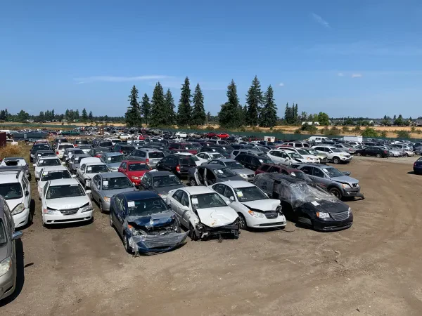 Safari Auto Wrecking - photo 2