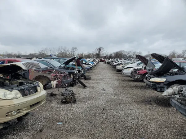 Pull-A-Part - photo 4