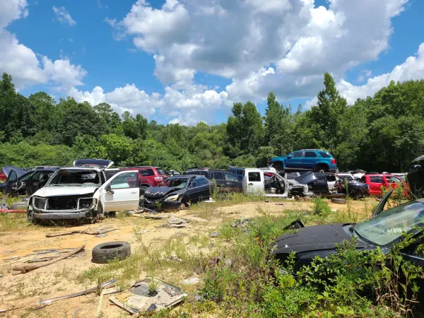 Bama Salvage - photo 3