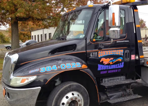 Connecticut Mustang, LLC - photo 2