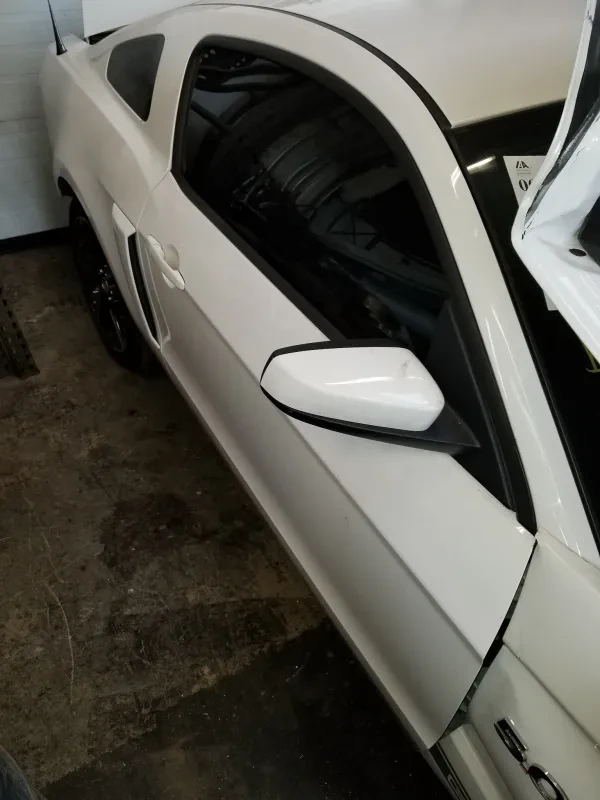 Connecticut Mustang, LLC - photo 3
