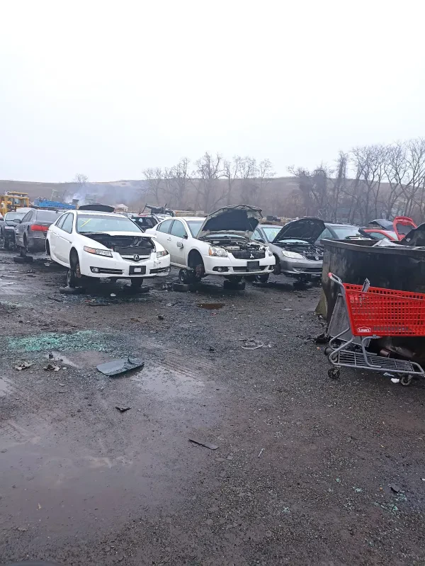 Chuck & Eddie's Used Auto Parts - photo 3
