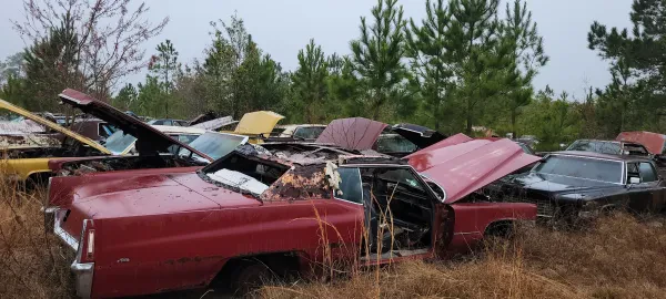 Cadillac Heaven - photo 3