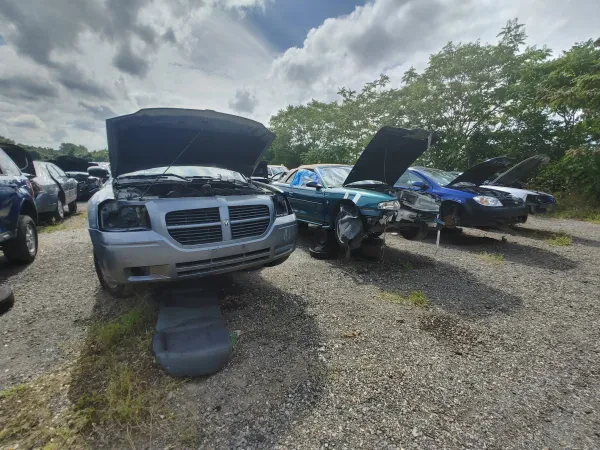 Crazy Ray's Auto Parts - photo 2