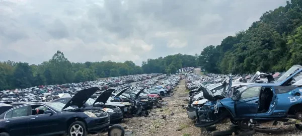 Crazy Rays Auto Parts - photo 3