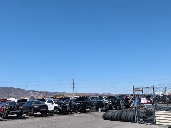 Nevada Pic A Part - photo 3