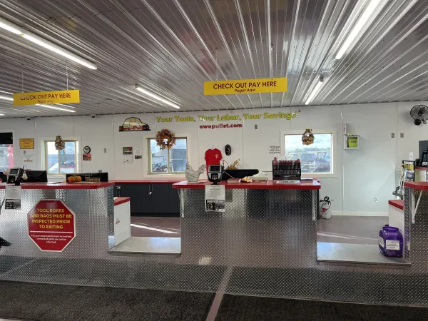 Ewe-Pullet Self Service Used Auto Parts - photo 2
