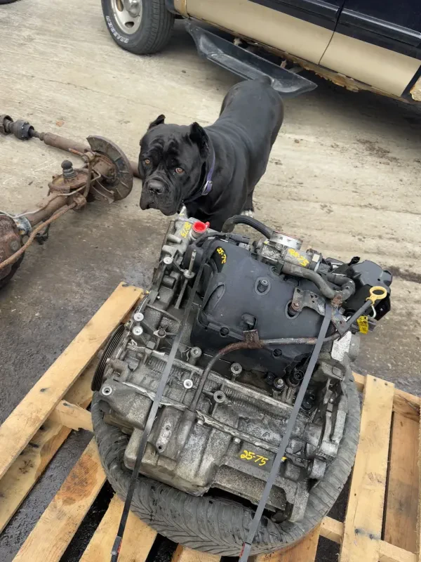Brunswick Auto Recycling - photo 3