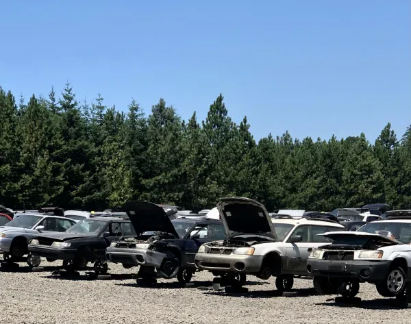Pick-n-Pull - photo 3