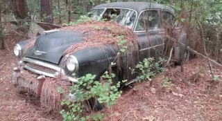 Junk Cars