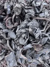 Valley Steel Recycling