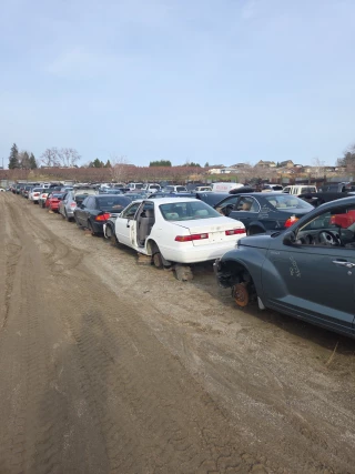 E-Z Auto Wrecking