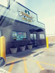 U-Pull-It Auto Parts, Inc.
