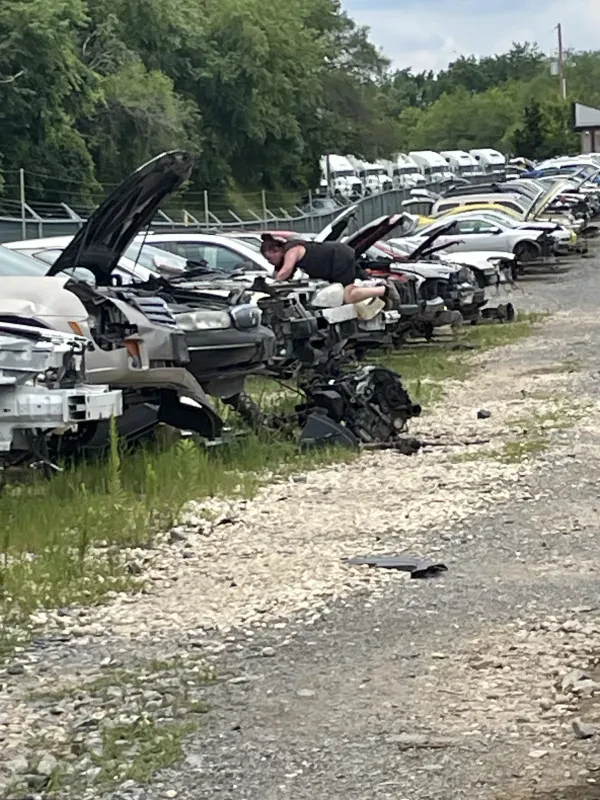 Pick-n-Save Roanoke - photo 4