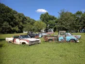 Roscoe's Junk Cars