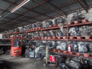 Ferny auto technical salvage