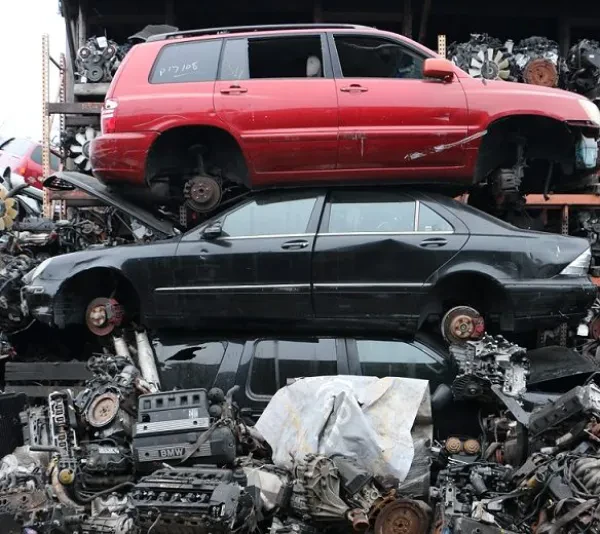 THE JUNK CAR KING ELIZABETH - photo 4