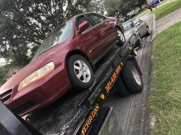 All Car Buys - photo 3