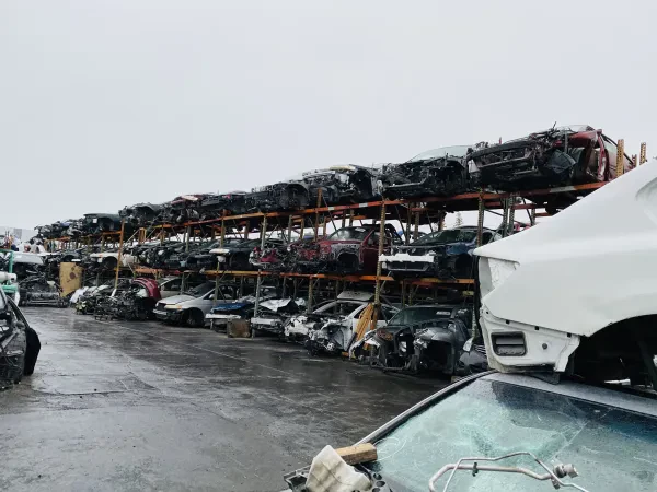 TOKYO AUTO RECYCLING - photo 3