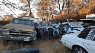 Bonanza Auto Dismantlers