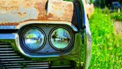 Chicopee Auto Farm