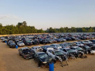 Parts You Pull