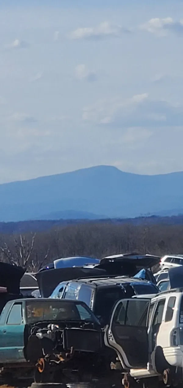 Pick-n-Save Lynchburg - photo 3