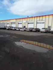 Thomas Junk Automotive