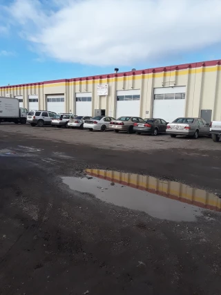 Thomas Junk Automotive