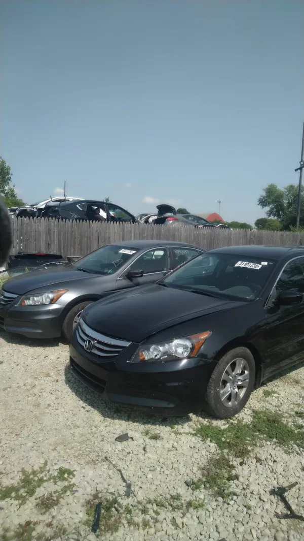 Damos Auto & Shipping LLC - photo 4