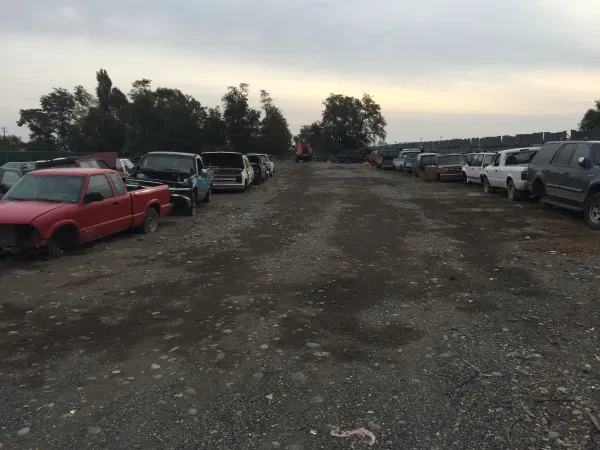 The Auto Bone Yard LLC - photo 2