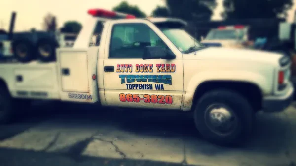 The Auto Bone Yard LLC - photo 4