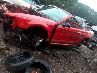Highway 54 Salvage