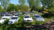 Allstate Auto Salvage