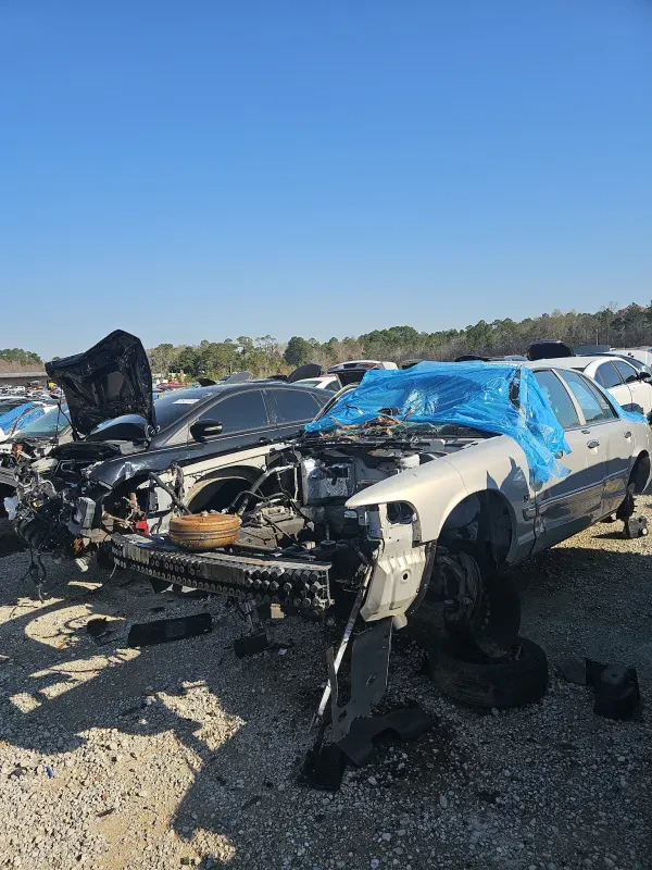 Highway 82 Pick And Pay - photo 2