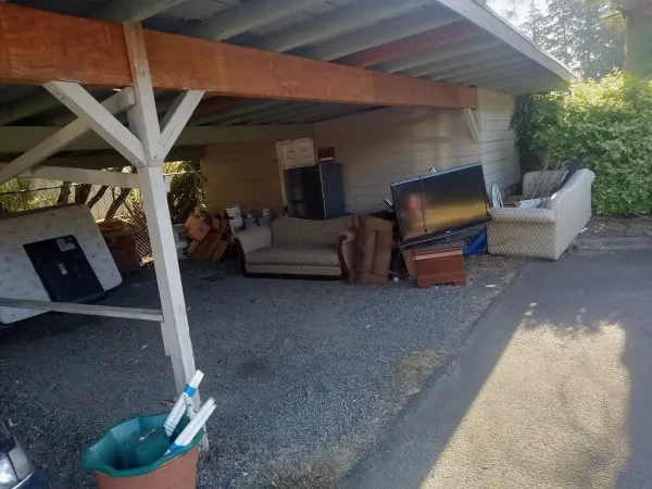 Gone Trash - photo 4