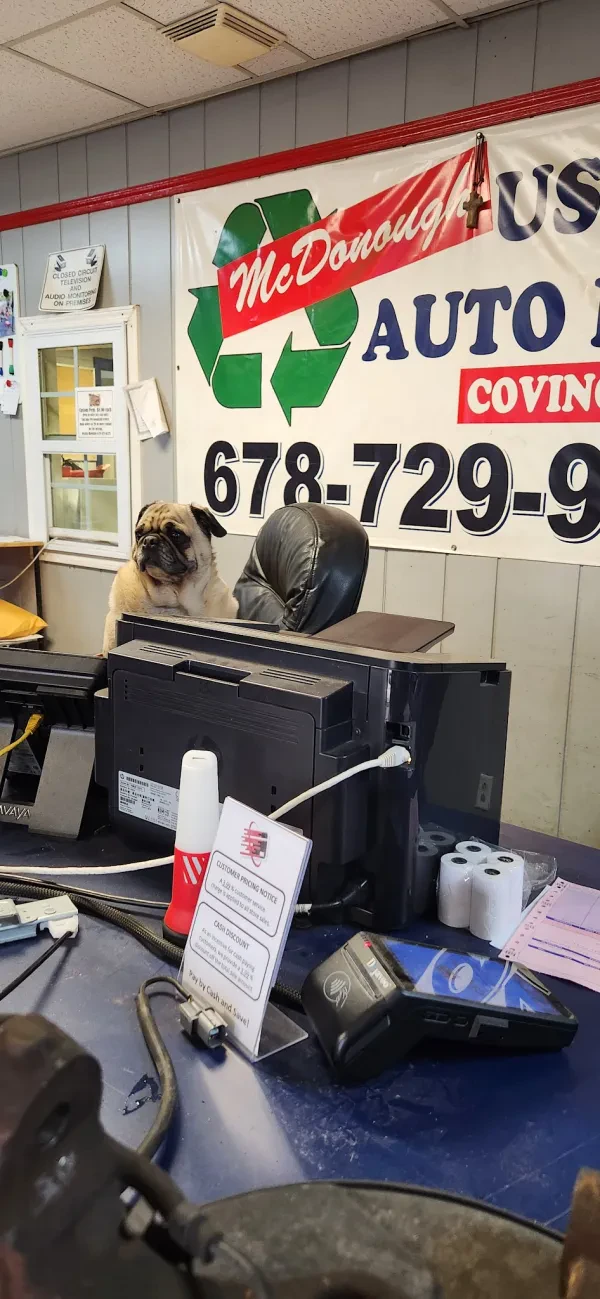 McDonough Used Auto Parts Covington Ga - photo 4