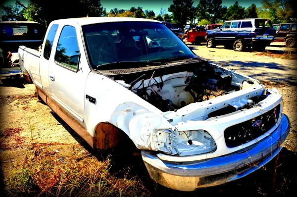 Junk Yard Dog Inc - photo 2