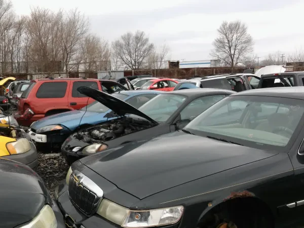 Paul's Auto Yard - photo 3