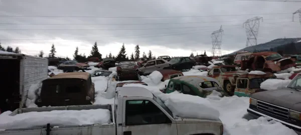 Howard's Wrecking Yard - photo 3