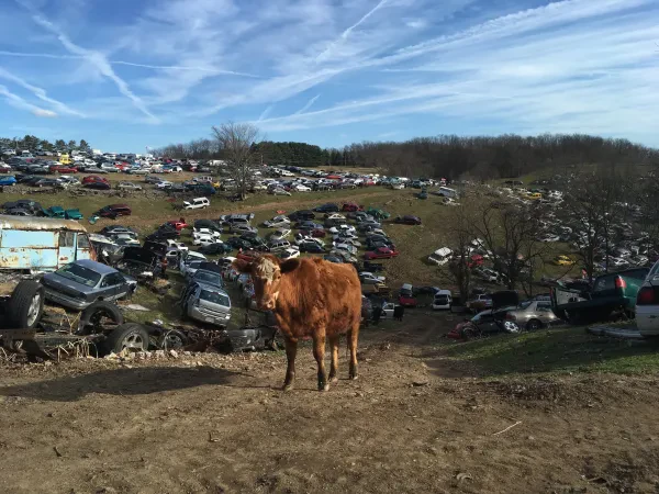 Don's Auto Salvage - photo 2